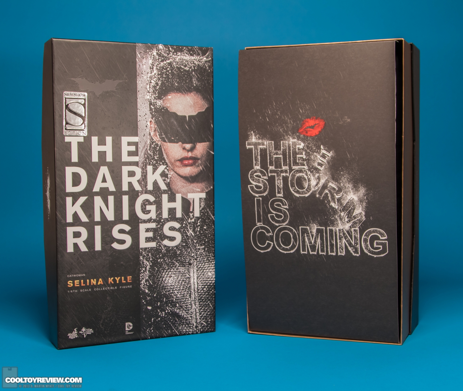 Selina-Kyle-Catwoman-Dark-Knight-Rises-Hot-Toys-030.jpg