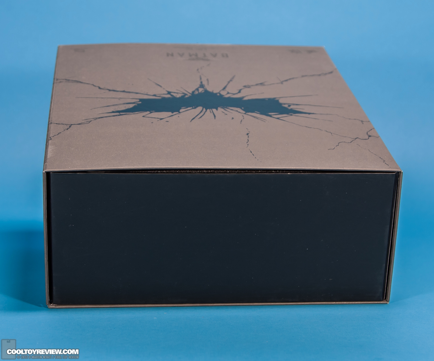 Batman_Dark_Knight_Rises_Hot_Toys-50.jpg