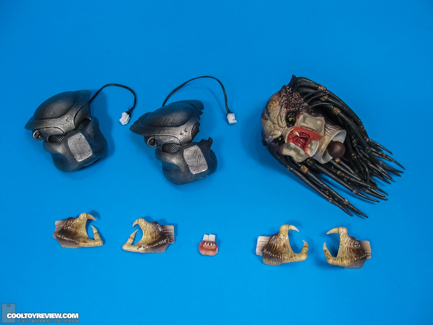 Classic_Predator_Predators_Hot_Toys-22.jpg