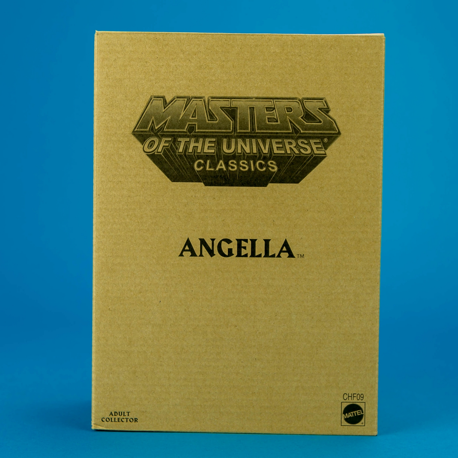 angella-mattel-motu-classics-027.jpg