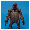 Mattel_DC_Signature_Monsieur_Mallah_and_The_Brain-01.JPG