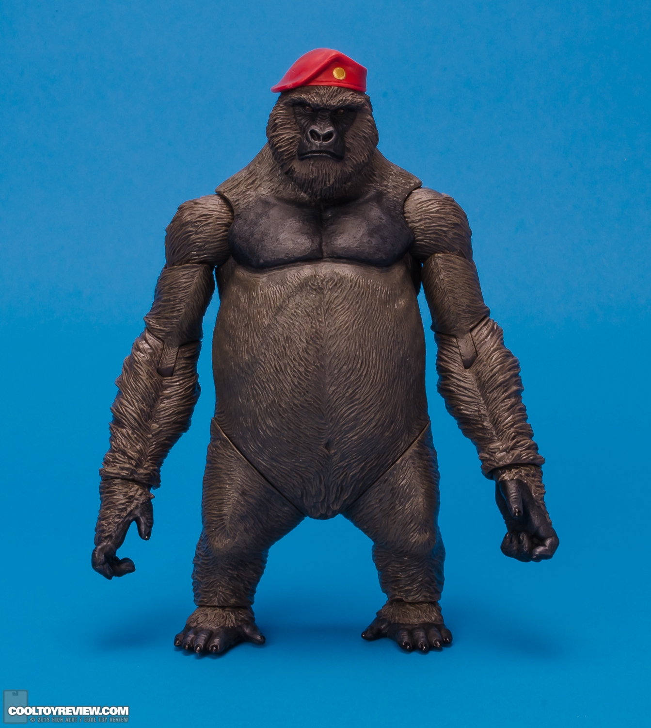 Mattel_DC_Signature_Monsieur_Mallah_and_The_Brain-01.JPG