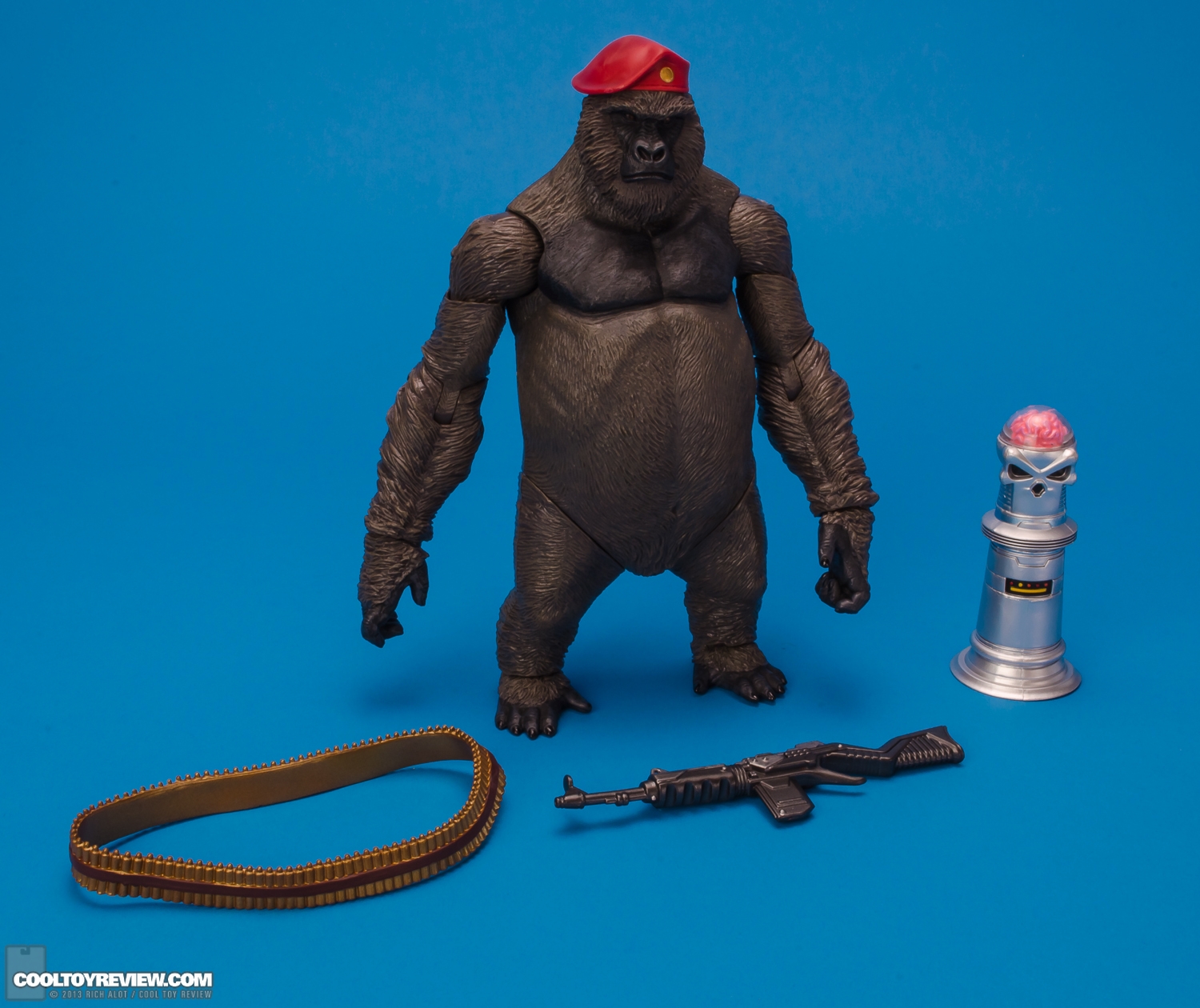 Mattel_DC_Signature_Monsieur_Mallah_and_The_Brain-13.JPG