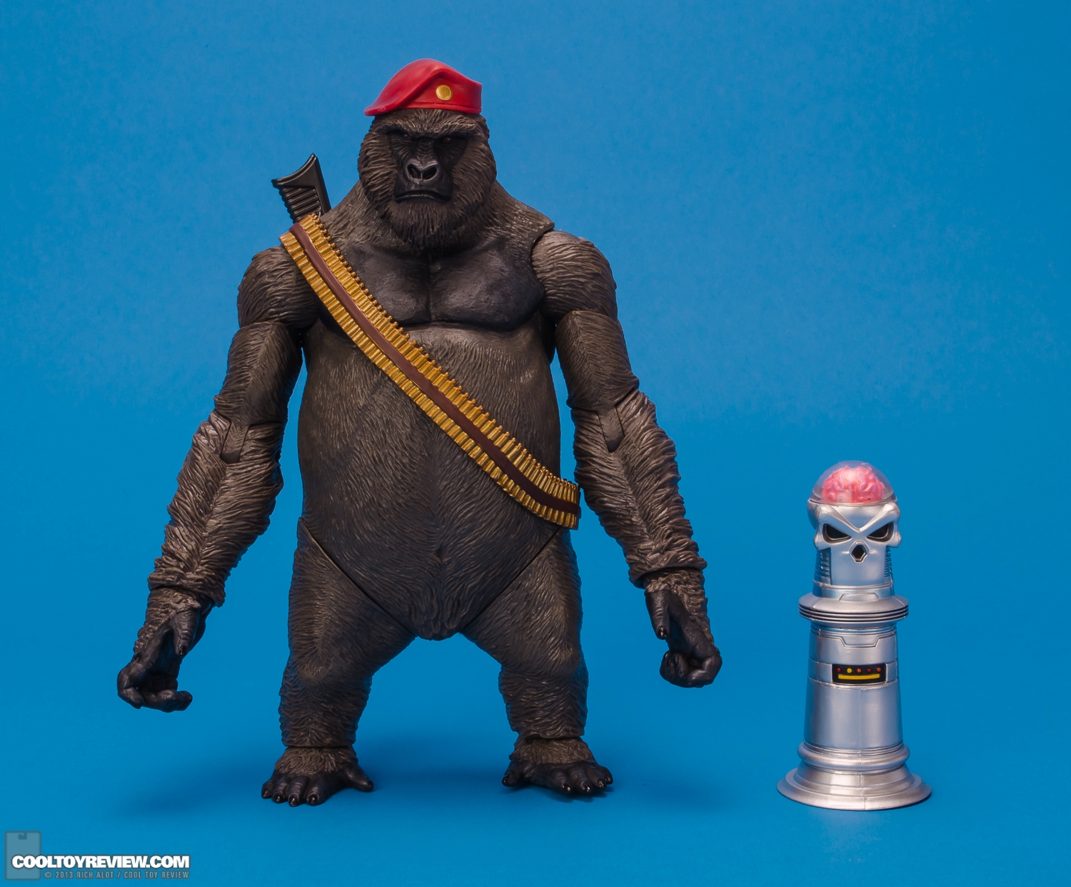 Mattel_DC_Signature_Monsieur_Mallah_and_The_Brain-15.JPG