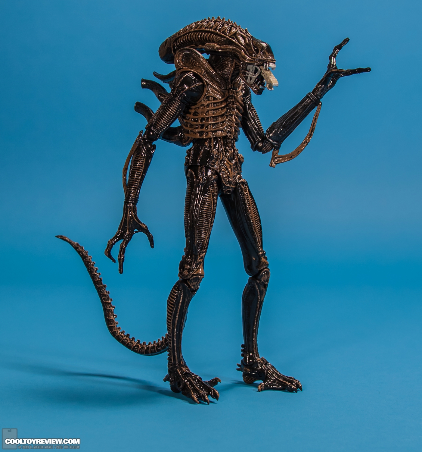 Xenomorph_Warrior_Aliens_NECA-002.jpg