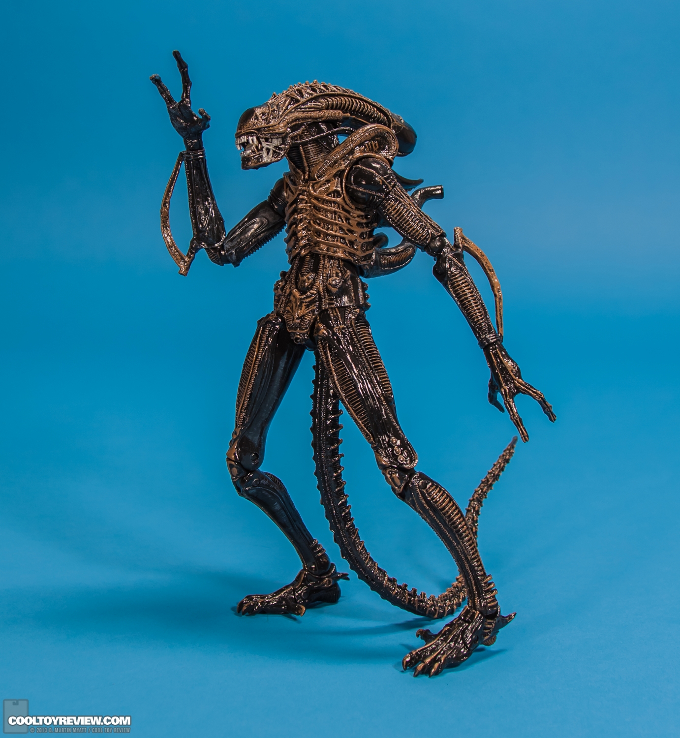 Xenomorph_Warrior_Aliens_NECA-003.jpg