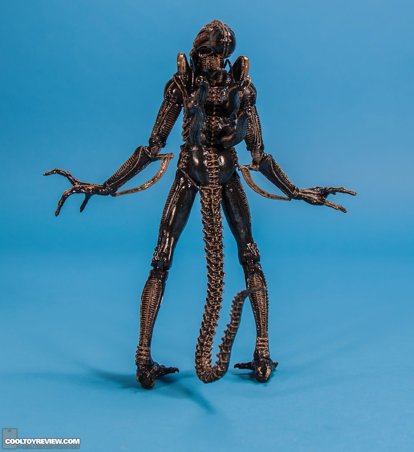 Xenomorph_Warrior_Aliens_NECA-004.jpg