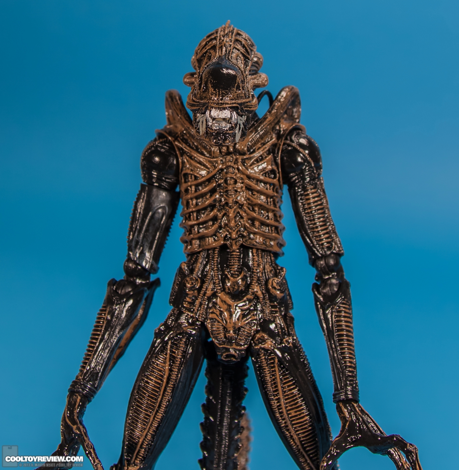 Xenomorph_Warrior_Aliens_NECA-005.jpg