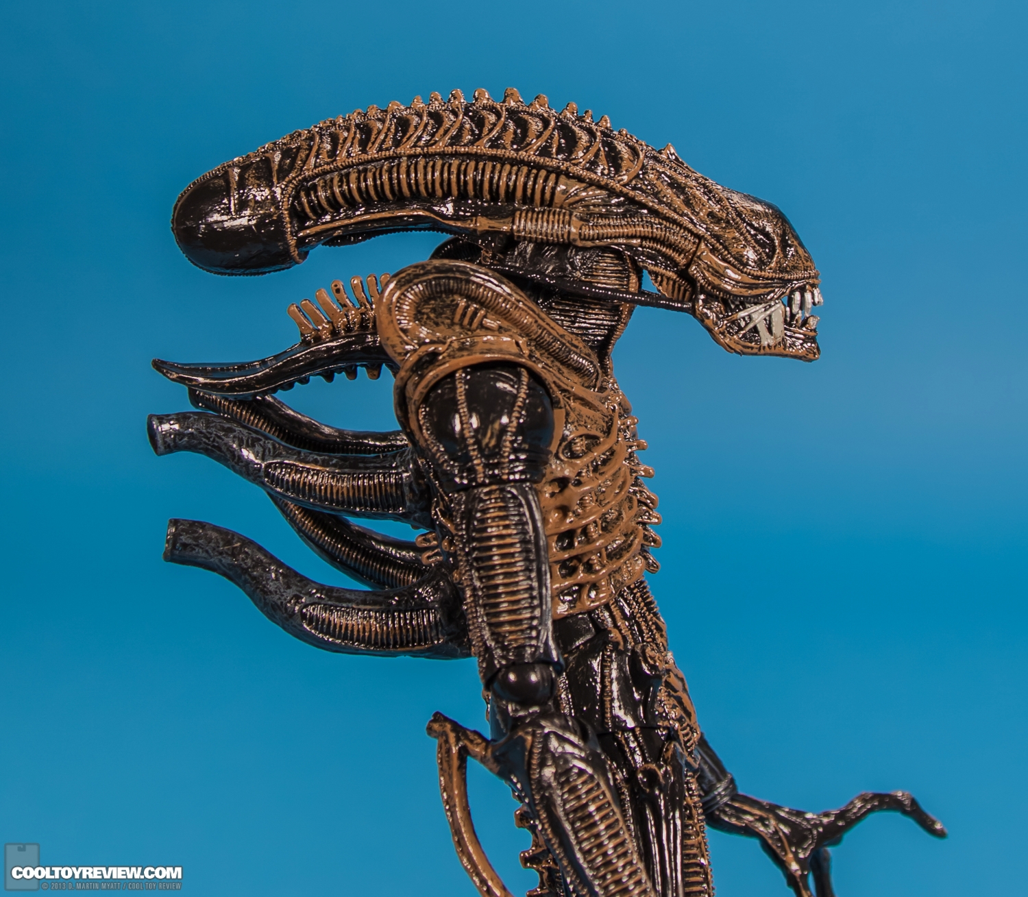 Xenomorph_Warrior_Aliens_NECA-007.jpg