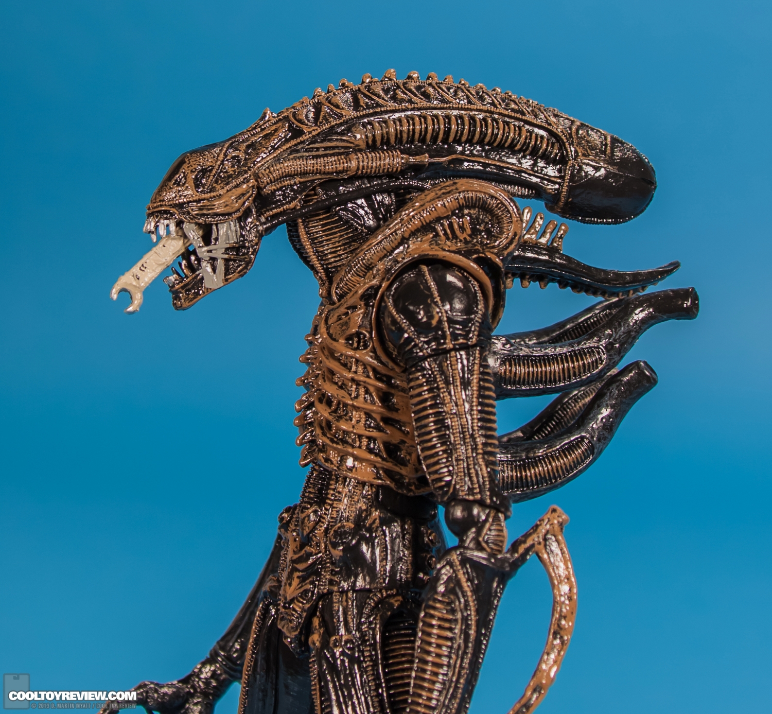 Xenomorph_Warrior_Aliens_NECA-008.jpg