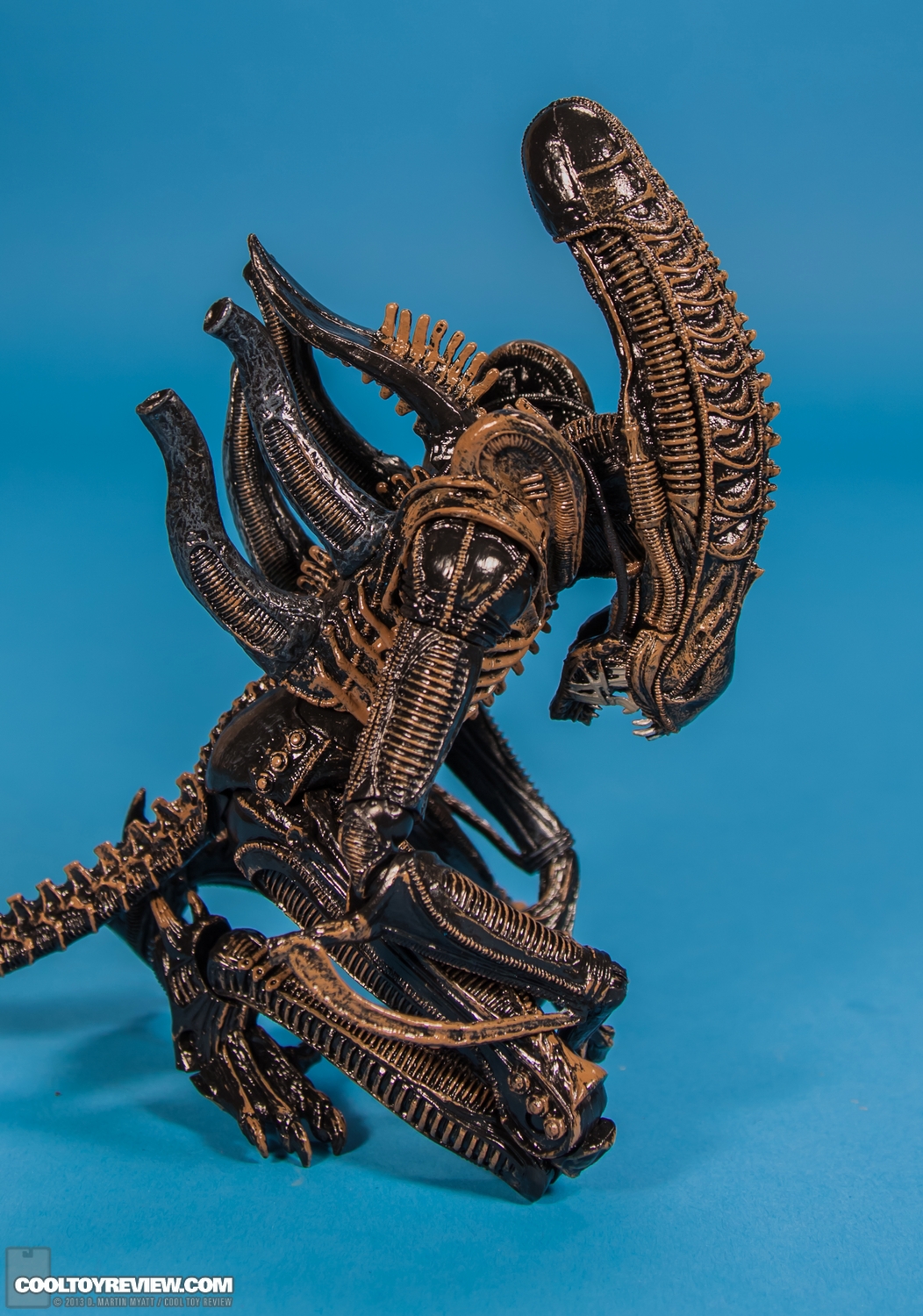 Xenomorph_Warrior_Aliens_NECA-010.jpg