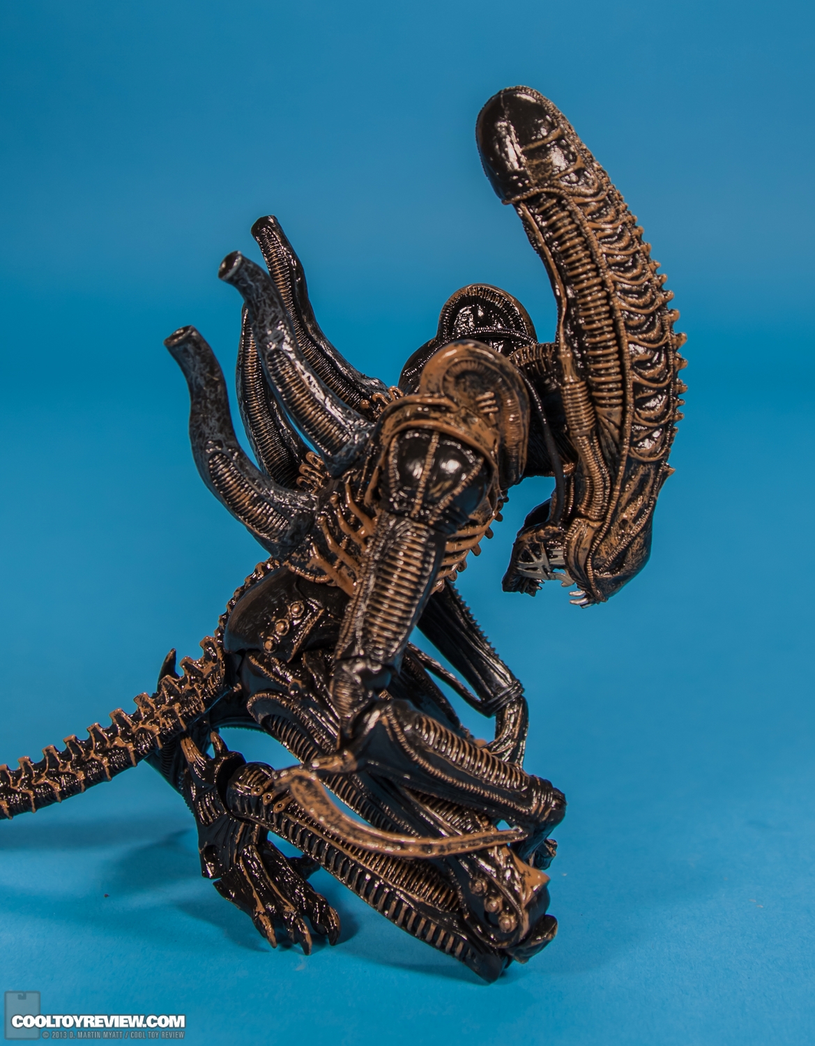 Xenomorph_Warrior_Aliens_NECA-011.jpg