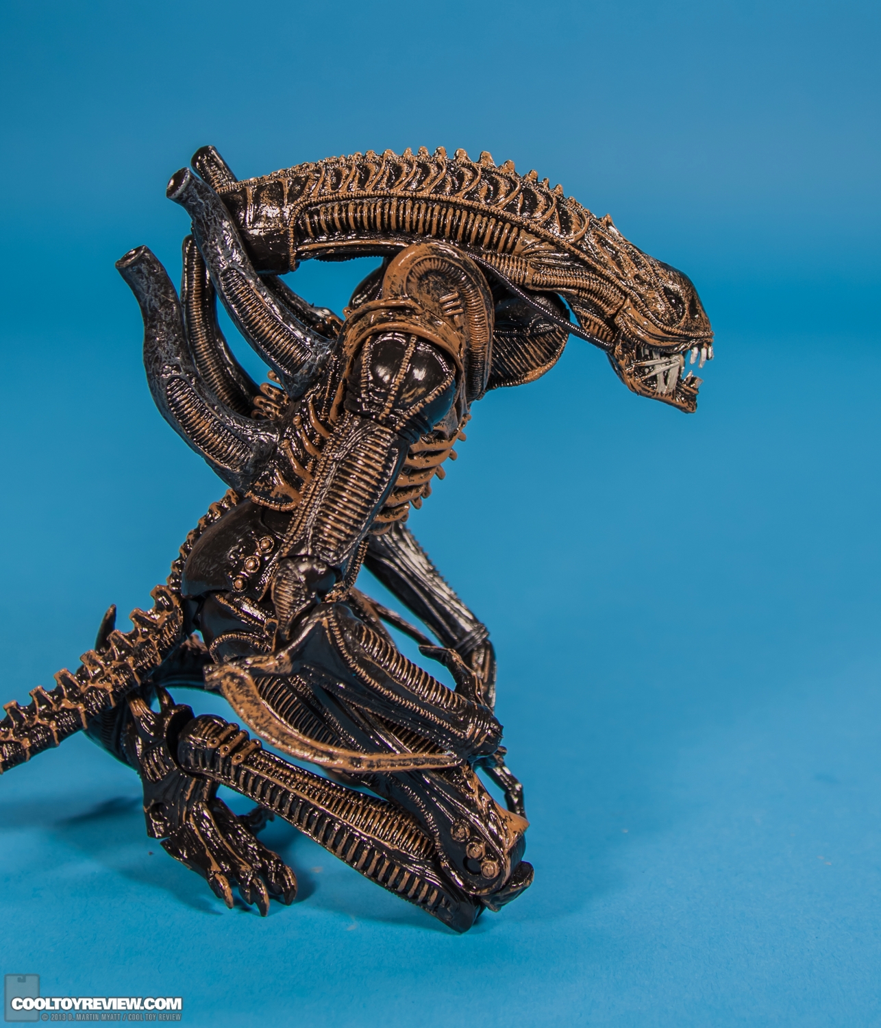 Xenomorph_Warrior_Aliens_NECA-012.jpg
