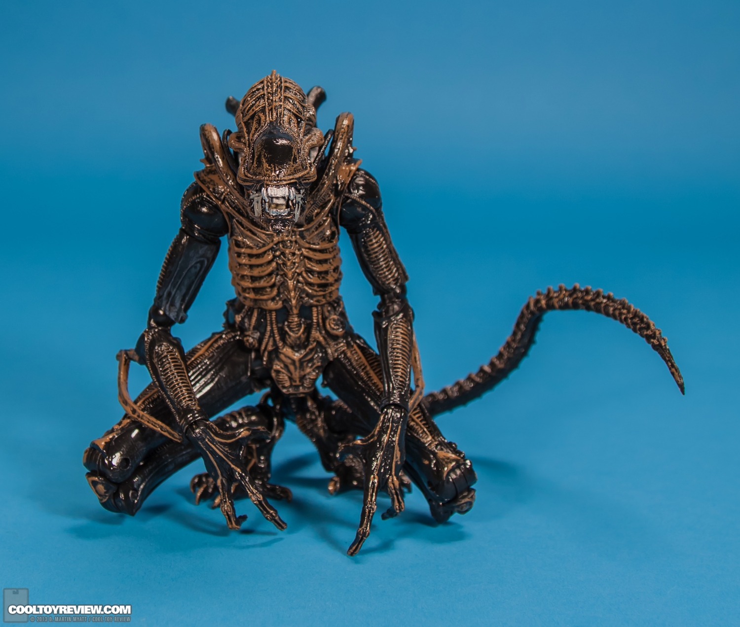 Xenomorph_Warrior_Aliens_NECA-013.jpg