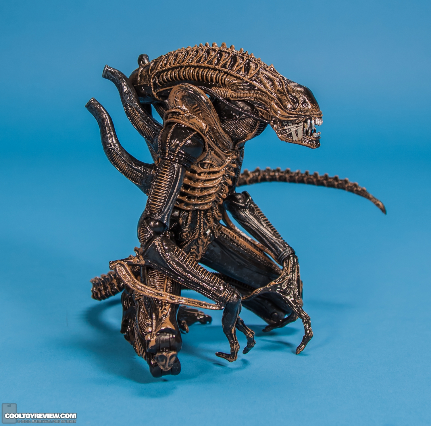 Xenomorph_Warrior_Aliens_NECA-014.jpg