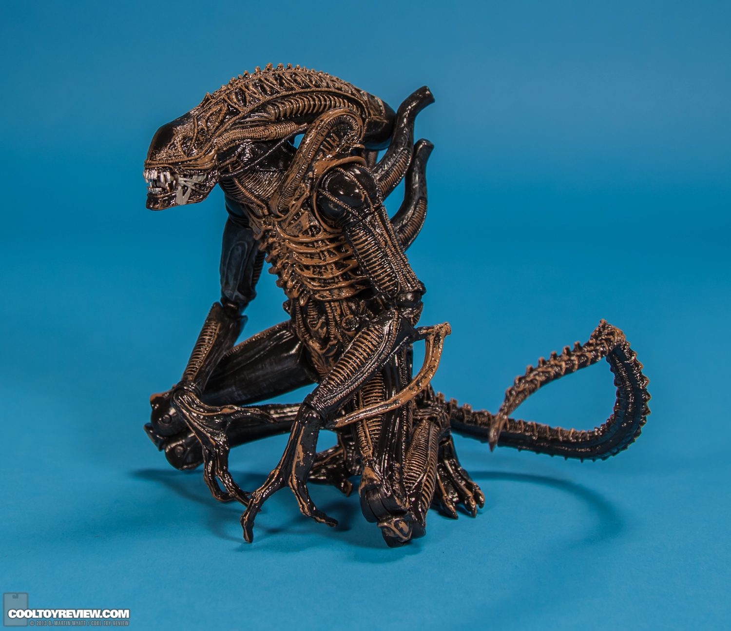 Xenomorph_Warrior_Aliens_NECA-015.jpg