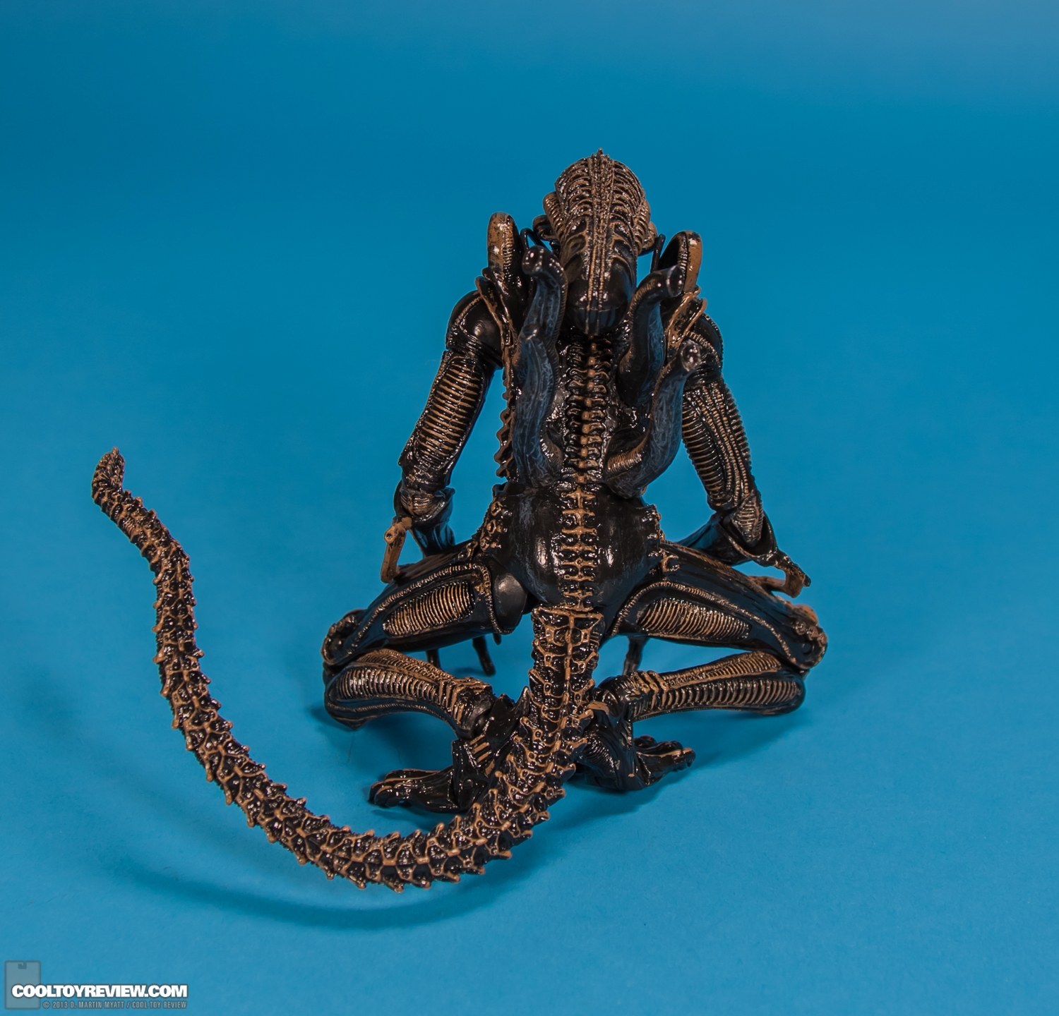 Xenomorph_Warrior_Aliens_NECA-016.jpg