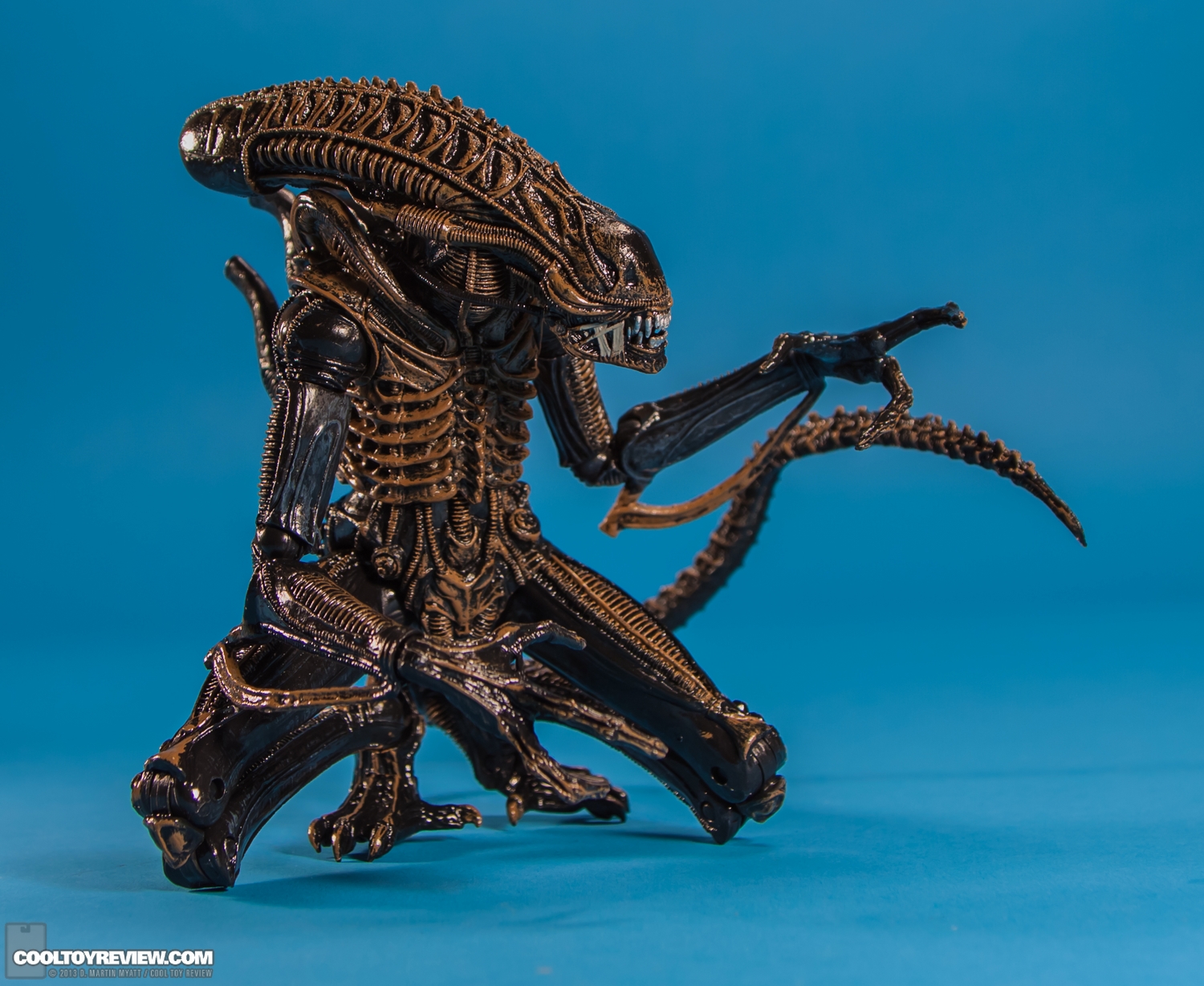 Xenomorph_Warrior_Aliens_NECA-017.jpg