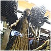 IMG_7919.JPG