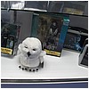 IMG_7630.JPG