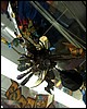 IMG_9812.JPG