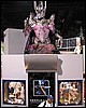 IMG_9549.JPG
