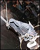 IMG_9554.JPG