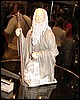IMG_9559.JPG