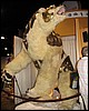 IMG_0096.JPG
