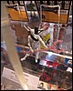 IMG_9015.JPG