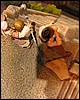 IMG_0805.JPG