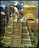 IMG_3243.JPG