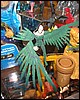 IMG_8907.JPG