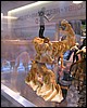 IMG_8943.JPG