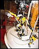 IMG_0034.JPG