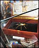 IMG_0186.JPG