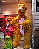 IMG_0224.JPG