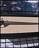 IMG_0161.JPG