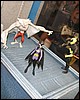 IMG_0576.JPG
