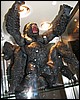 IMG_0035.JPG