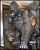 IMG_0036.JPG