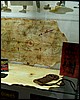 IMG_0342.JPG