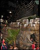 IMG_0078.JPG