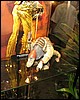 IMG_0290.JPG
