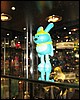IMG_0300.JPG