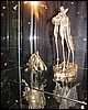 IMG_0314.JPG