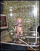 IMG_0356.JPG