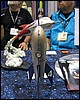 IMG_0418.JPG