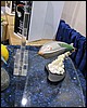 IMG_0422.JPG