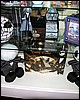 IMG_0738.JPG